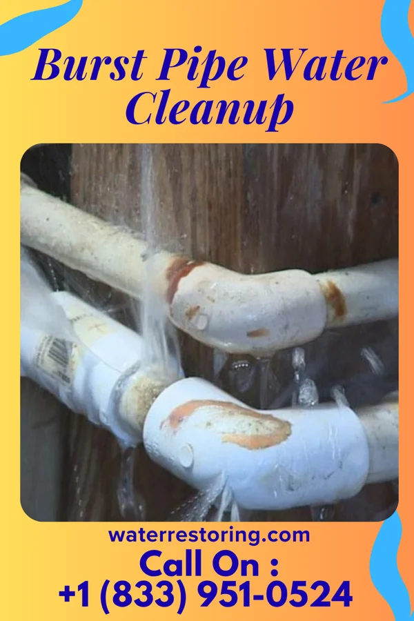 Burst Pipe Water Cleanup in Brush Fork, WV