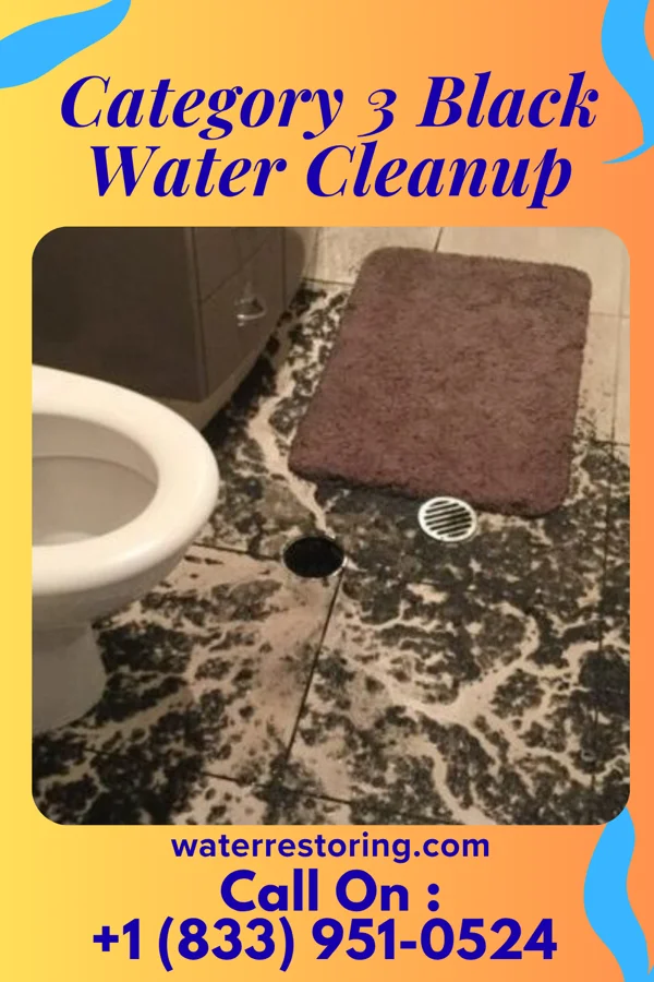 Category 3 Black Water Cleanup in Brush Fork, WV