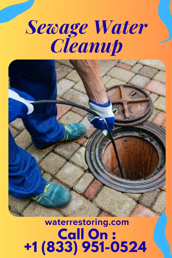 Sewage Water Cleanup in Brush Fork, WV